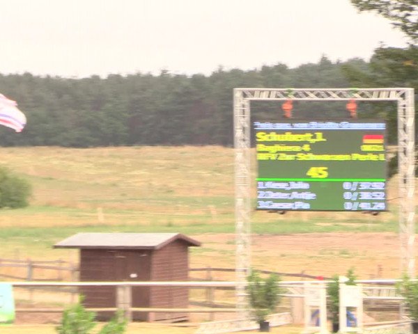 Reitturnier Ebreichsdorf 2018