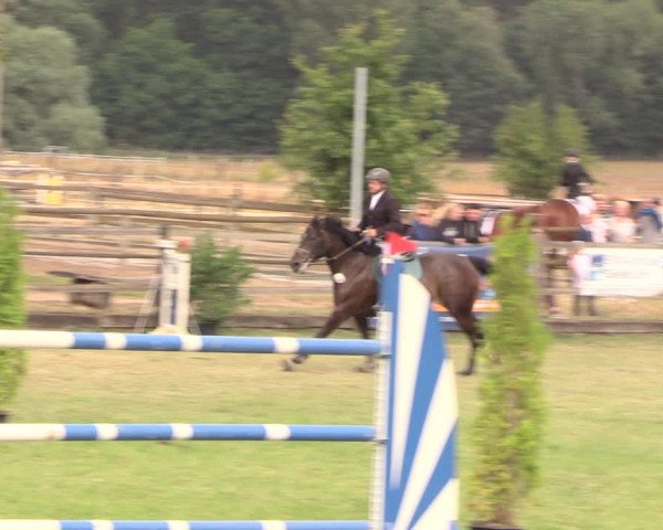 Reitturnier Ebreichsdorf 2018