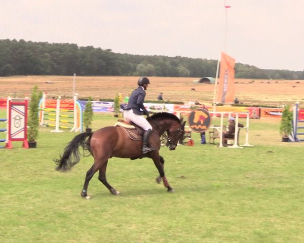 Reitturnier Ebreichsdorf 2018
