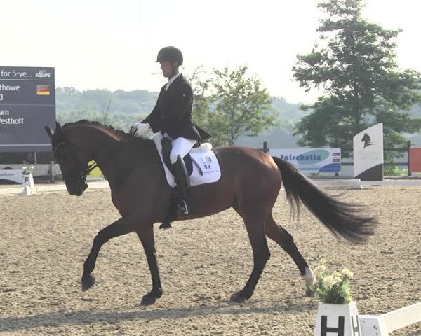 CDI**** Leudelange (LUX) 2018