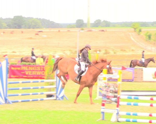 Reitturnier Ebreichsdorf 2018