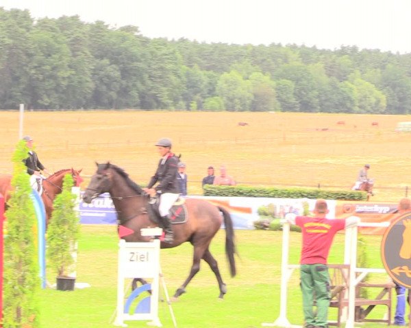 Reitturnier Ebreichsdorf 2018