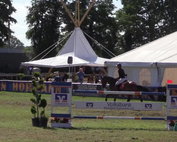 Steinhagener Reitertage 2018