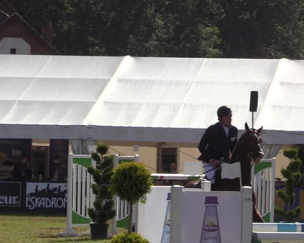 Steinhagener Reitertage 2018