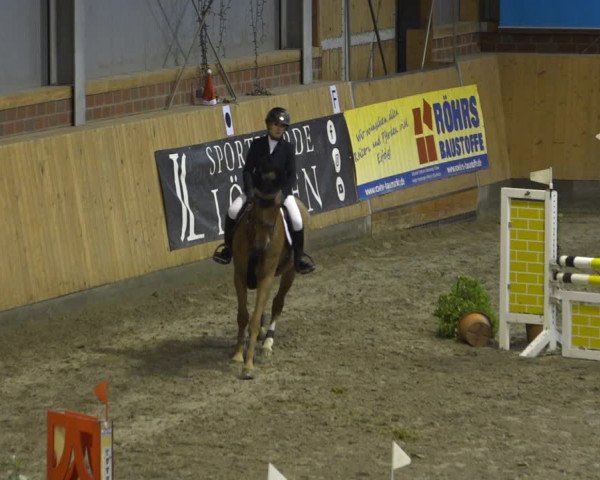 Reitturnier Osterholz-Scharmbeck 2021