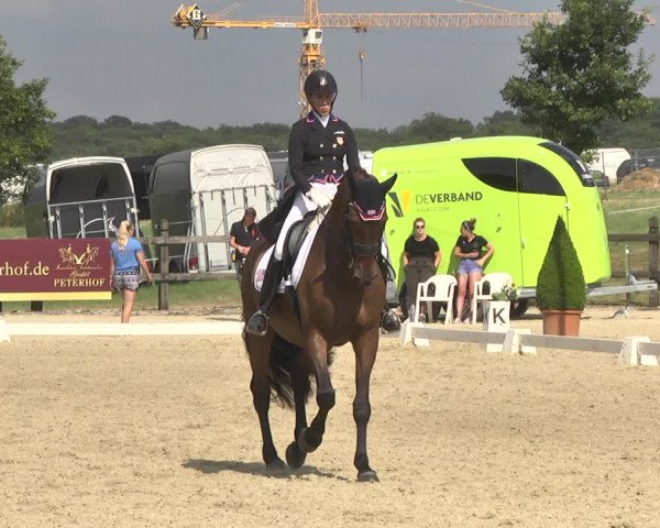 CDI**** Leudelange (LUX) 2018