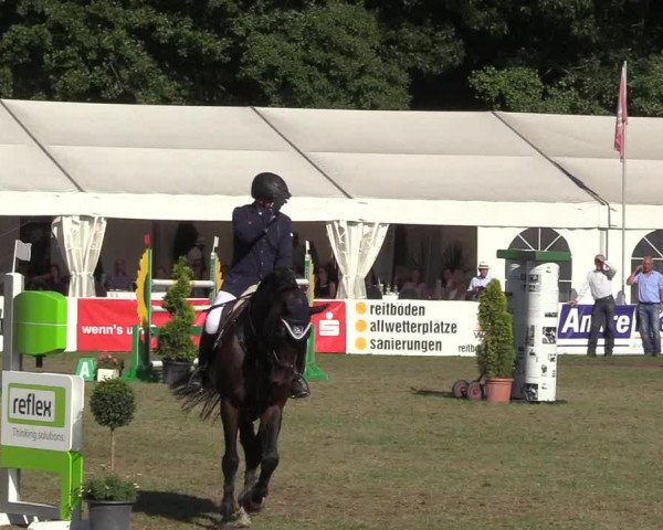 Steinhagener Reitertage 2018