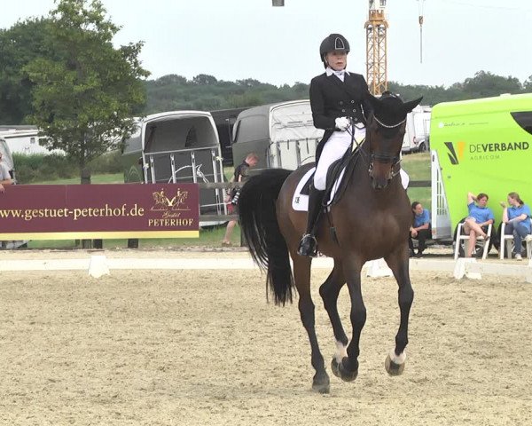 CDI**** Leudelange (LUX) 2018