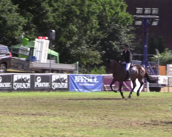 Steinhagener Reitertage 2018