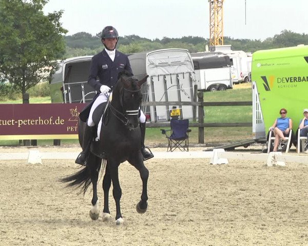 CDI**** Leudelange (LUX) 2018