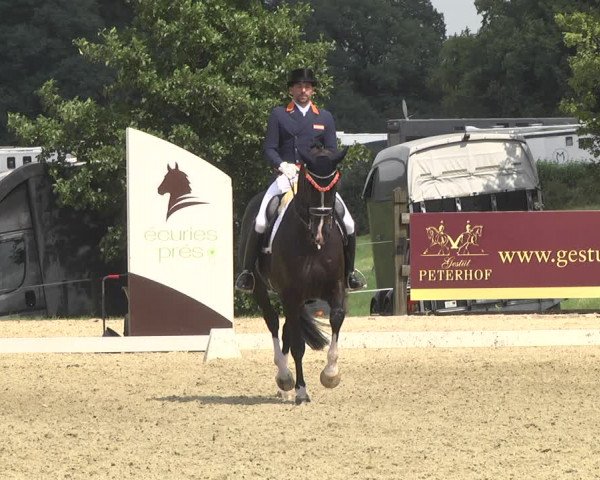 CDI**** Leudelange (LUX) 2018
