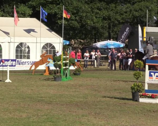 Steinhagener Reitertage 2018