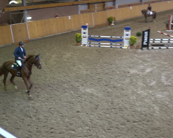 Reitturnier Osterholz-Scharmbeck 2021