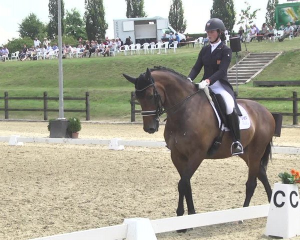 CDI**** Leudelange (LUX) 2018