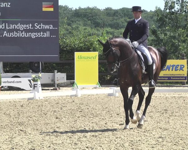 CDI**** Leudelange (LUX) 2018