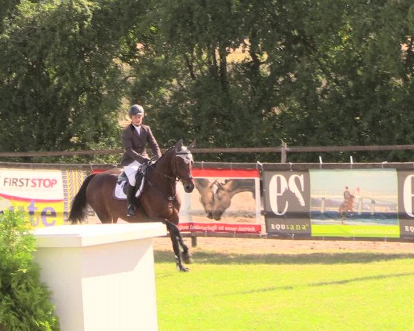 Reitturnier Ebreichsdorf 2018
