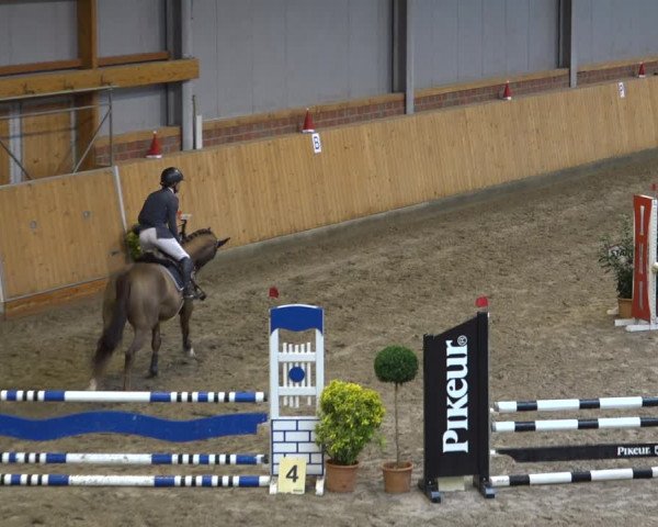 Reitturnier Osterholz-Scharmbeck 2021