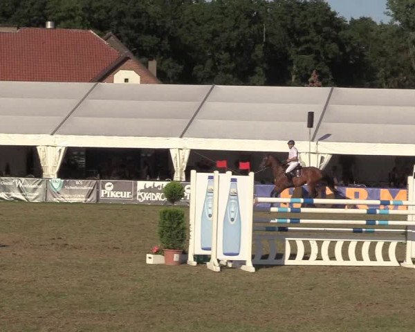 Steinhagener Reitertage 2018