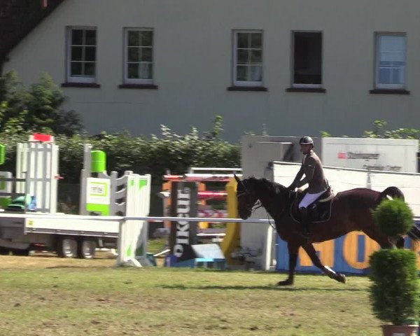 Steinhagener Reitertage 2018