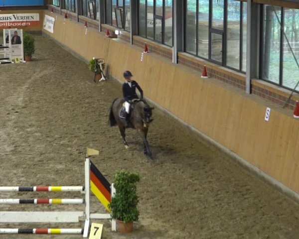 Reitturnier Osterholz-Scharmbeck 2021