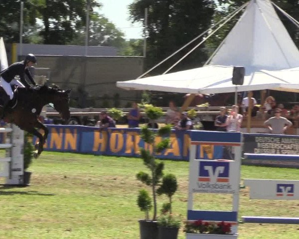 Steinhagener Reitertage 2018