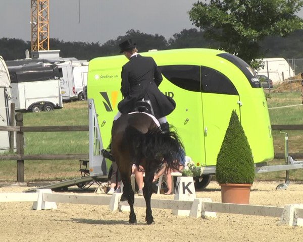 CDI**** Leudelange (LUX) 2018
