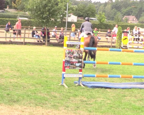 Reitturnier Ebreichsdorf 2018