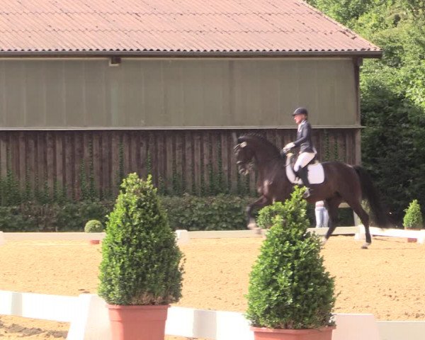 Steinhagener Reitertage 2018