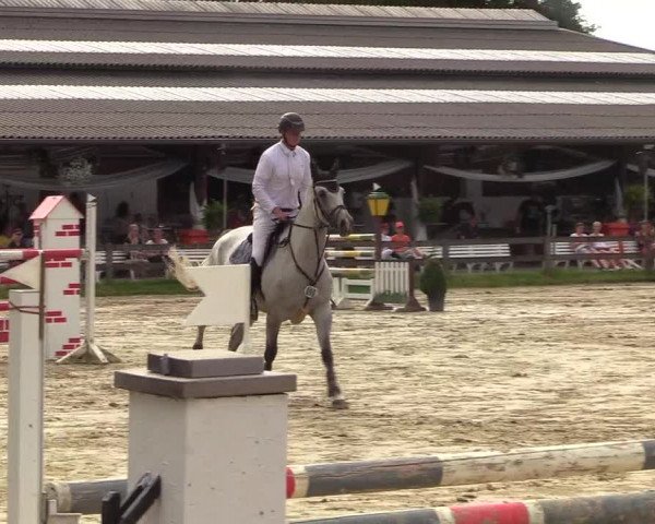 Reitturnier Münster-Roxel 2018
