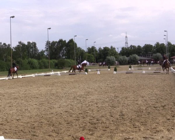 Reitturnier Münster-Roxel 2018