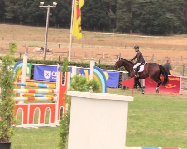 Reitturnier Ebreichsdorf 2018