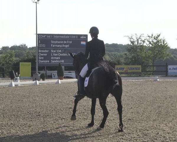 CDI**** Leudelange (LUX) 2018
