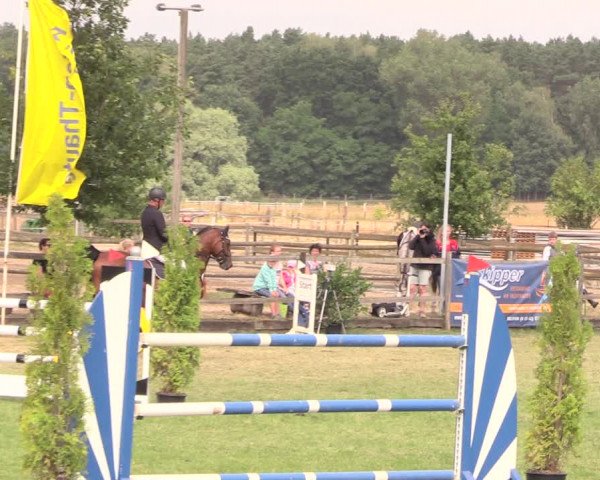 Reitturnier Ebreichsdorf 2018