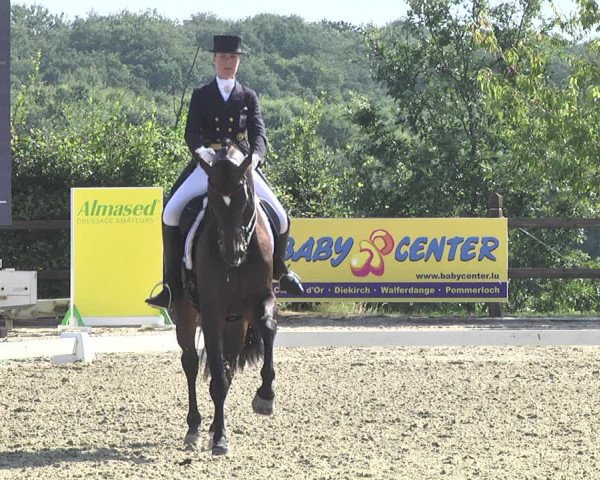 CDI**** Leudelange (LUX) 2018