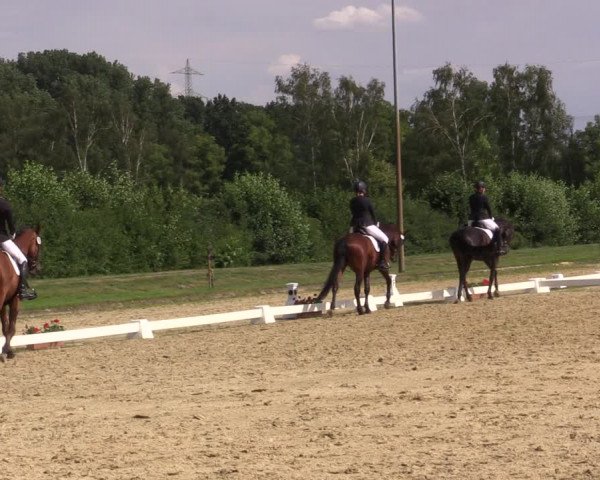 Reitturnier Münster-Roxel 2018