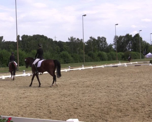 Reitturnier Münster-Roxel 2018