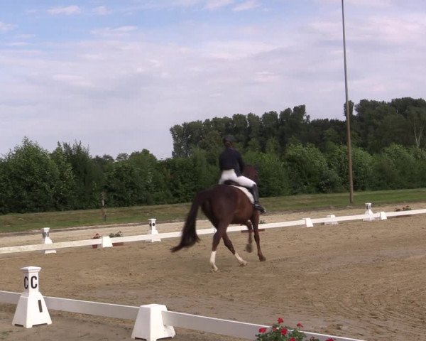 Reitturnier Münster-Roxel 2018