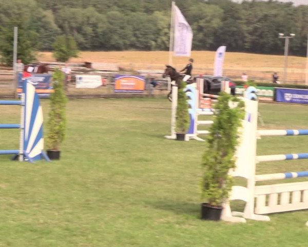 Reitturnier Ebreichsdorf 2018
