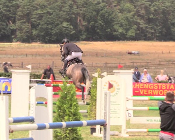 Reitturnier Ebreichsdorf 2018