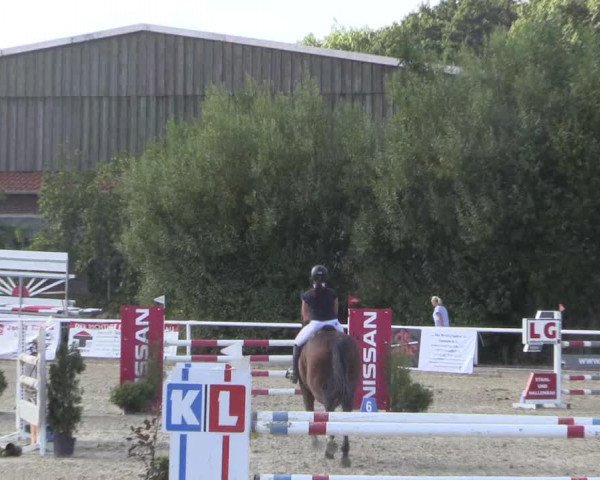 Reitturnier Haren 2018