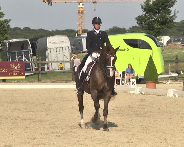 CDI**** Leudelange (LUX) 2018