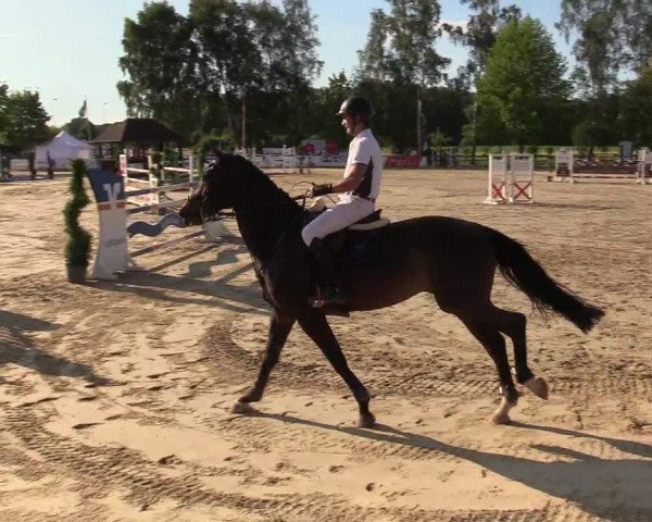 Reitturnier Münster-Roxel 2018