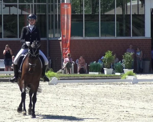 Rheinische Meisterschaften 2018