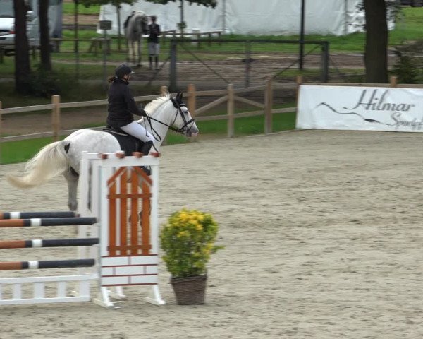 Reitturnier Westergellersen 2021