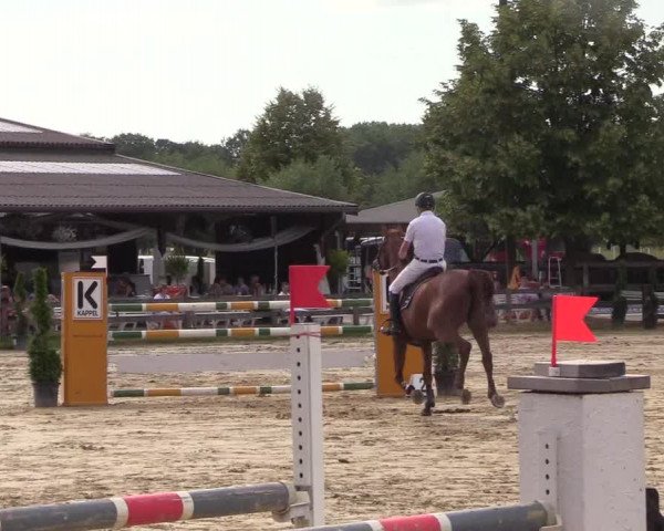 Reitturnier Münster-Roxel 2018
