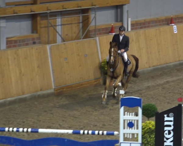 Reitturnier Osterholz-Scharmbeck 2021