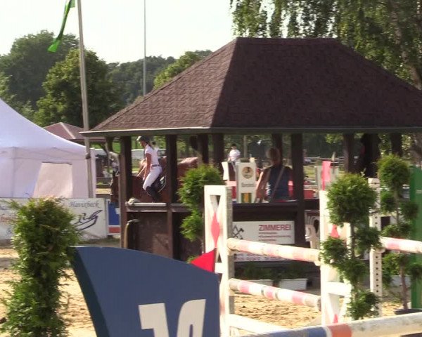 Reitturnier Münster-Roxel 2018