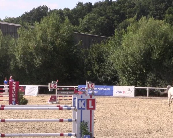 Reitturnier Haren 2018