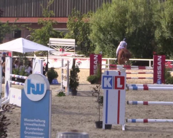 Reitturnier Haren 2018
