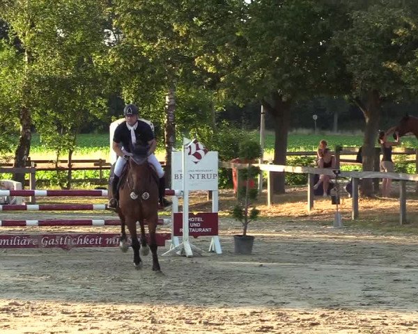 Reitturnier Münster-Roxel 2018